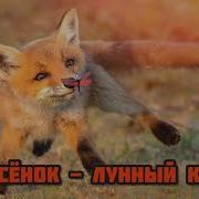 Маска Лисёнок Лунный Кот