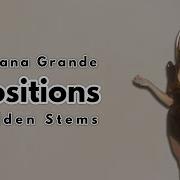 Ariana Grande Positions Full Stems