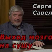 Выход Мозгов