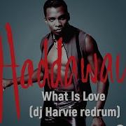 Haddaway What Is Love Dj Harvie Redrum