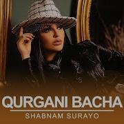 Qurgani Bacha