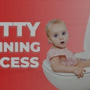 Potty Training Success