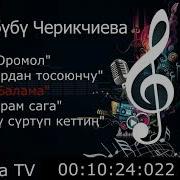 Токтобүбү Черикчиева