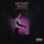 Get In The Car Mystery Skulls