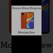 Xiaomi Ringtone Nature Short Video Bbm