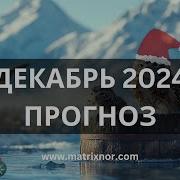 2024 Каким Будет Год Лилия Нор