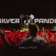 Silver Panda