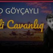 Fərid Göyçaylı