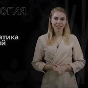 Биология 7 Класс 2 Параграф Систематика Растений