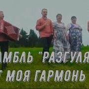 Поёт Моя Гармонь Русская Гармонь В Городах И Сёлах Ансамбль Разгуляй Russische Lieder
