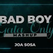 Bad Boy Vs Gata Only Mashup Joa Sosa