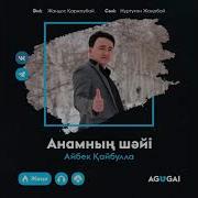 Анамнын Шаиы