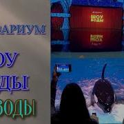 Москвариум Шоу Воды Эпизоды