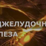 Исцеление Поджелудочной Железы И Желчного Пузыря Скрытые Аффирмации Саблиминал Релакс Версия