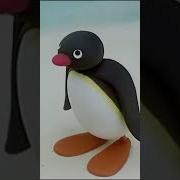 Pingu