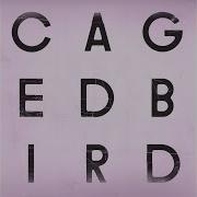 Cinematic Orchestra Caged Bird Instrumental