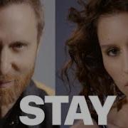 Stay Don T Go Away Feat Raye David Guetta