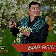 С Бейшекеев Чалкыган Кол Болоюн Текст