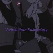 Virtual Star Embryology