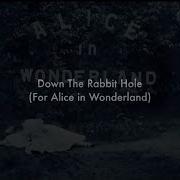Rabbit Hole Newton Faulkner