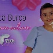 Raluca Burca Tigi Academy