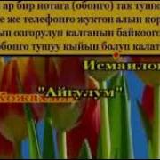 Биз Тобу Лейлек Минус Скачат