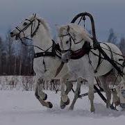 Скачать Цыганские Песни 2019 Год Цыгане Поют