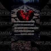 Кальби Песня