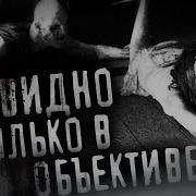 Его Видно Только В Объективе Кот Бегемот