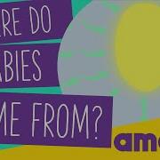 Where Do Babies Come From