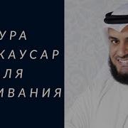 Сураи Ино Атайно Точики