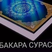 Бакара Сураси Текст Узбекча