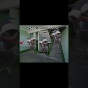 Меме Быстро Спать