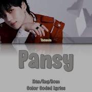 Pansy Taemin