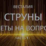 Работа Со Струнами С Чего Начать Ответы На Вопросы Весталия