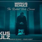 Markus Schulz Liquid Night