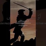 Мухаммад Тарик Аль Маида