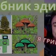 Ты Не Грибочек Ты Дебилёчек