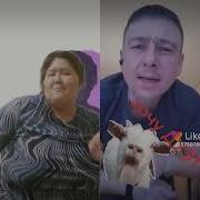 Хоть Отруби Ему Копыта Хоть Завяжи Рога Узлом