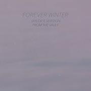 Taylor Swift Forever Winter