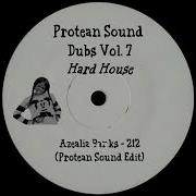 Logo Protean Sound Azealia Banks 212 Protean Sound Edit