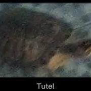 Tutel