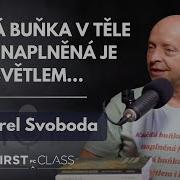 Karel Svoboda