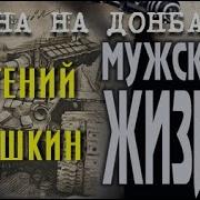 Евгений Шишкин Мужская Жизнь