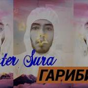 Master Sura Гариби 2