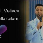 Şamil Vəliyev