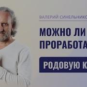 Синельников Исцеление Рода