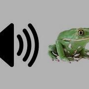 Frog Sound Effect