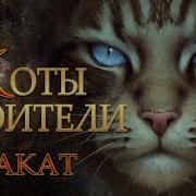 Коты Воители Закат