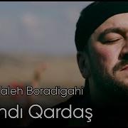 Seyyid Taleh Qardas